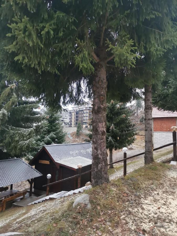 Chalet Vikendica Ceperkovic #2 *